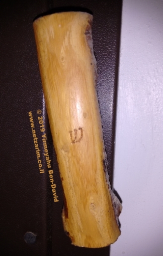 acacia wood mezuzah